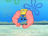 Sponge Bob Flex
