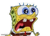 Spongebob Screaming and Crying PNG