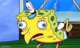 spongebob stupid