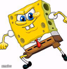 spongey