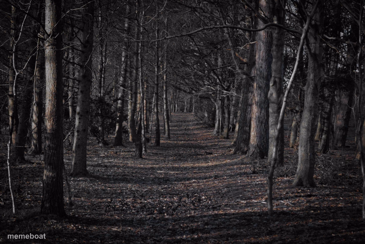 Spooky Woods - meme generator image preview