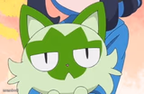 Sprigatito's straight face