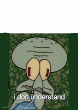 Squiddi confused