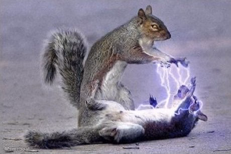 Squirrel Sith Lightning - meme generator image preview