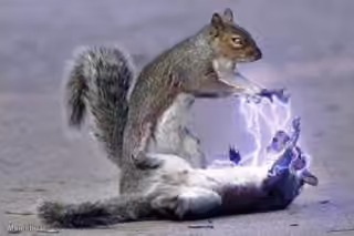 Squirrel Sith Lightning