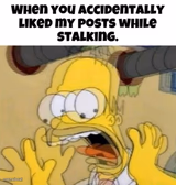 stalking