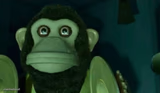 staring moneky