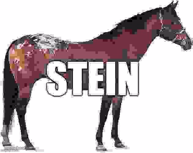 stein - meme generator image preview