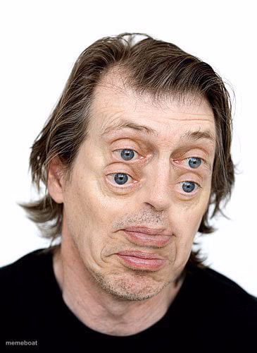 steve buscemi eyes - meme generator image preview