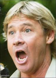steve irwin crikey - meme generator image preview