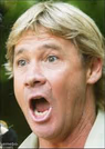 steve irwin crikey