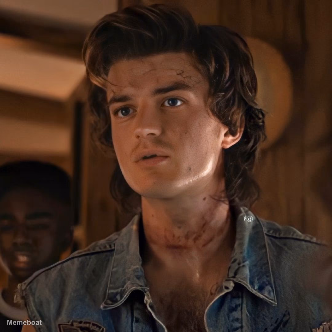 Steve Harrington Scarred - meme generator image preview