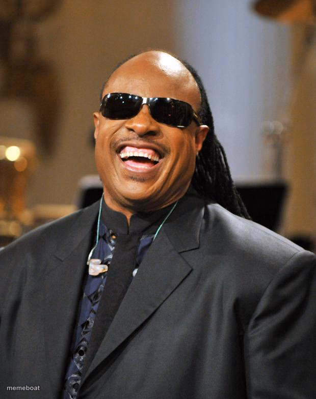 Stevie Wonder - meme generator image preview