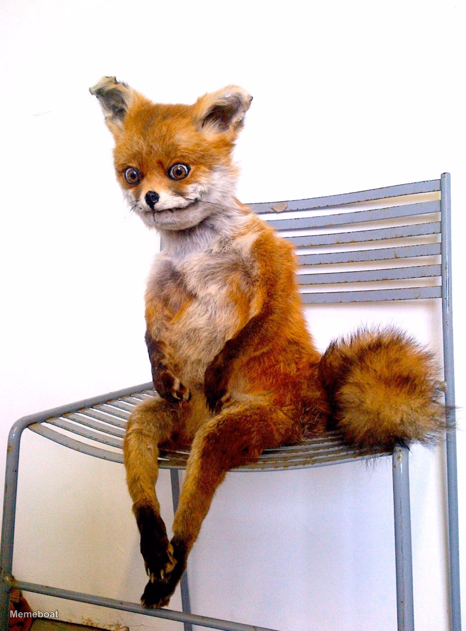stoned fox - meme generator image preview