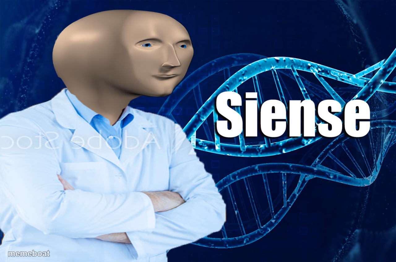 Stonks Siense - meme generator image preview