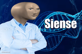 Stonks Siense