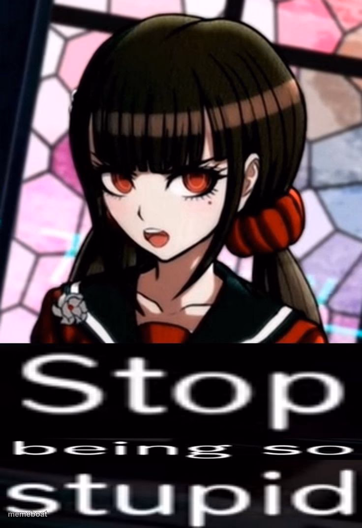 Stop being so stupid - meme generator image preview