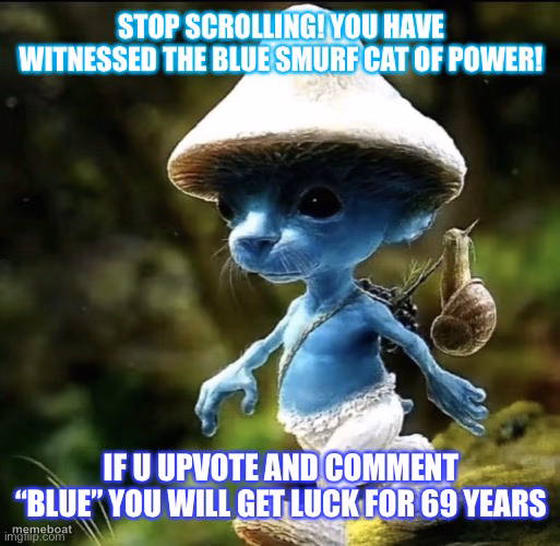 STOP SCROLLING! YOU HAVE WITNESSED THE BLUE SMURF CAT OF POWER! - meme generator image preview