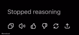 Stopped Reasoning