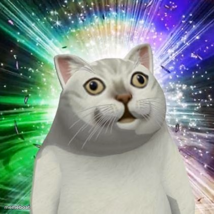 strange cat - meme generator image preview