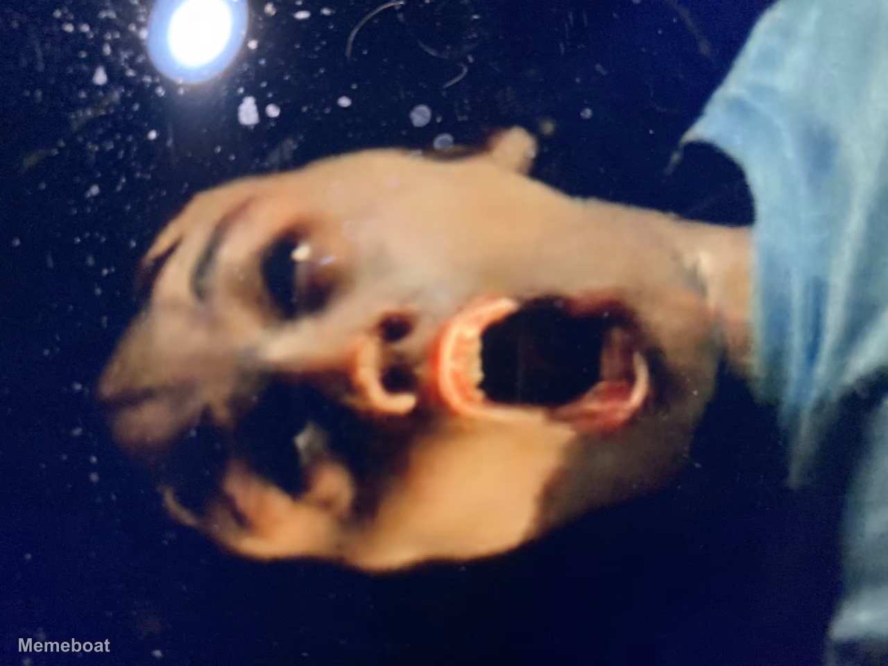 stranger things will scream - meme generator image preview