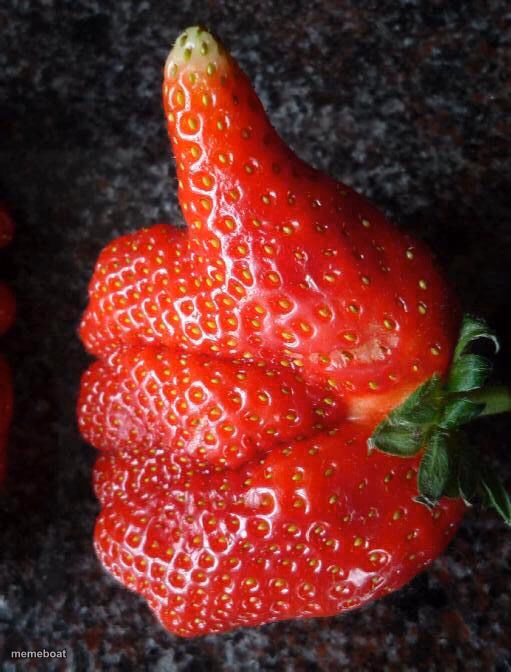 strawberry - meme generator image preview