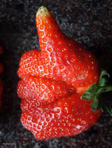 strawberry