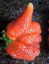 strawberry upvotes 4 ever