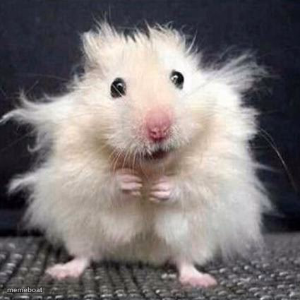 Stressed Mouse - meme generator image preview