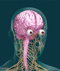 stunned - meme generator image preview