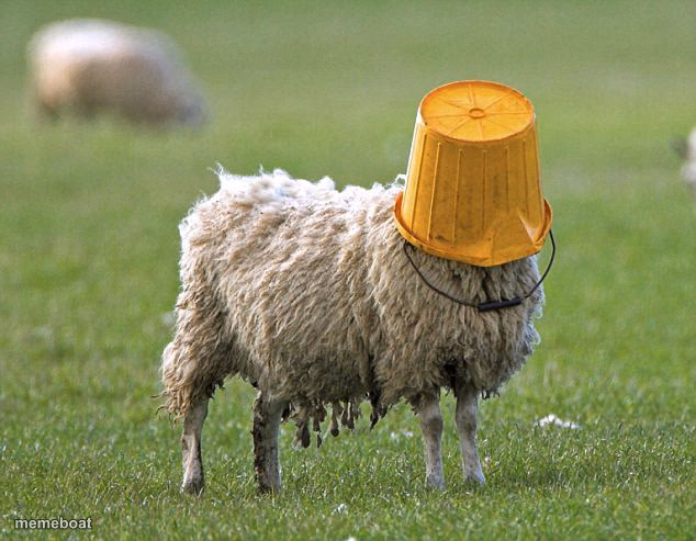 stupid sheep - meme generator image preview