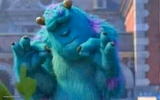 Sully shutdown