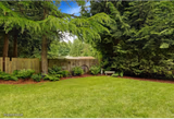 Sunny Backyard