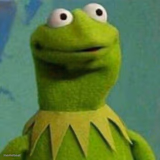 Surprised Kermit