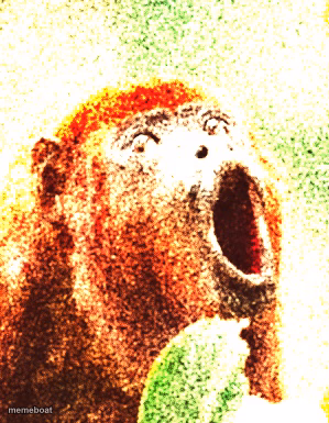 Surprised Monkey - meme generator image preview