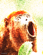 Surprised Monkey