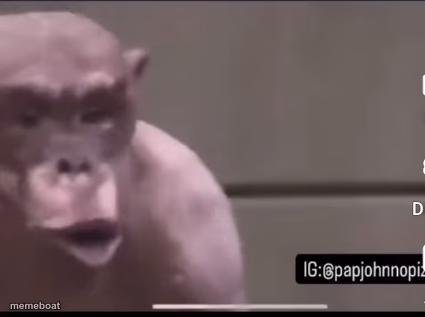 Surprised monkey - meme generator image preview