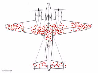 Survivor Bias Plane