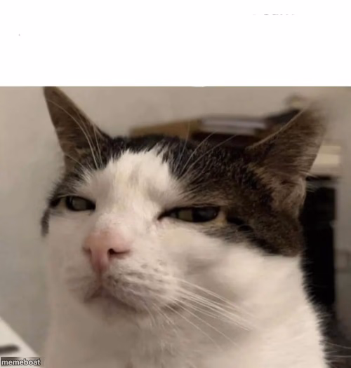 Sus cat - meme generator image preview