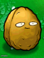 Sussy Walnut - meme generator image preview