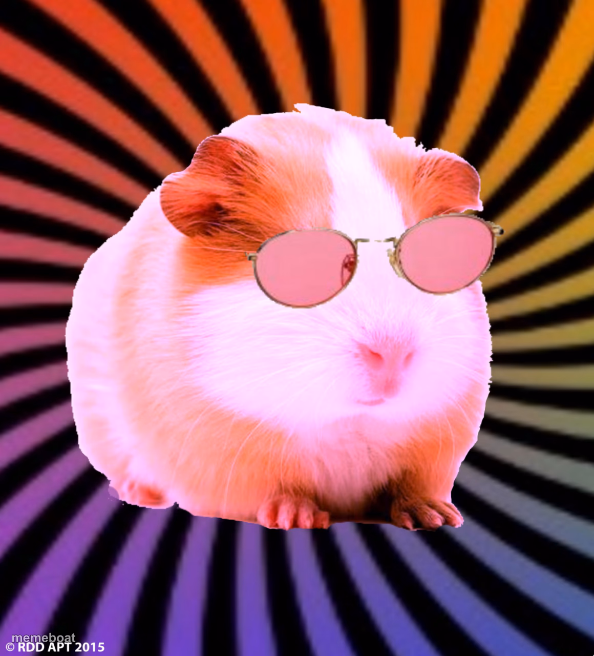 Swaggy the guinea pig - meme generator image preview