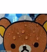 Sweating bear