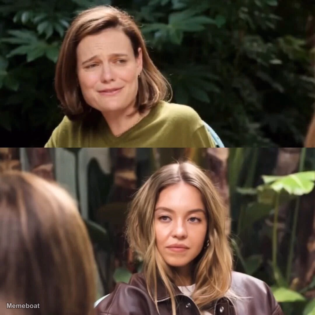 Sydney Sweeney Chad Look - meme generator image preview