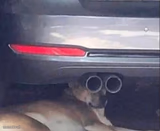 Target Acquired