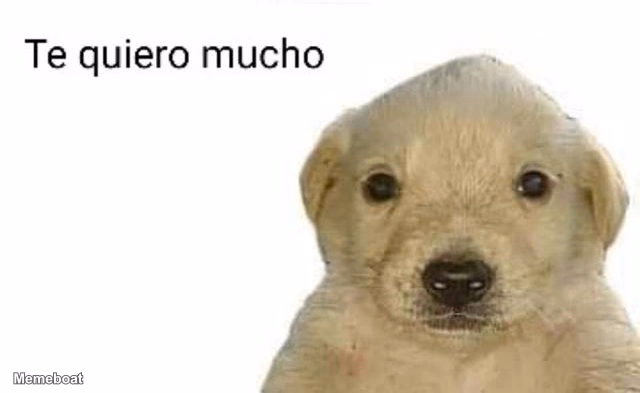 Te Quiero Mucho - meme generator image preview