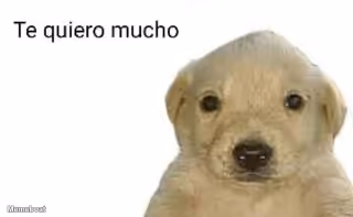 Te Quiero Mucho