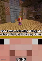 Technoblade Lying