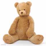Teddy bear