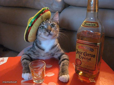 Tequila - meme generator image preview