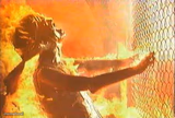 Terminator nuke